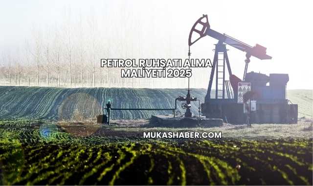 Petrol Ruhsatı Alma Maliyeti 2025