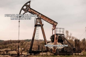 Petrol Ruhsatı Alma Maliyeti 2025