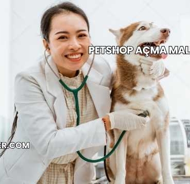 Petshop Açma Maliyeti 2025