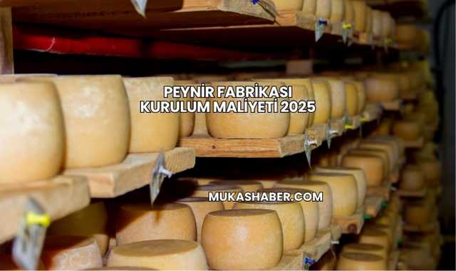 Peynir Fabrikası Kurulum Maliyeti 2025