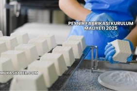 Peynir Fabrikası Kurulum Maliyeti 2025