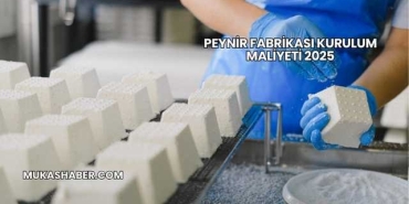 Peynir Fabrikası Kurulum Maliyeti 2025