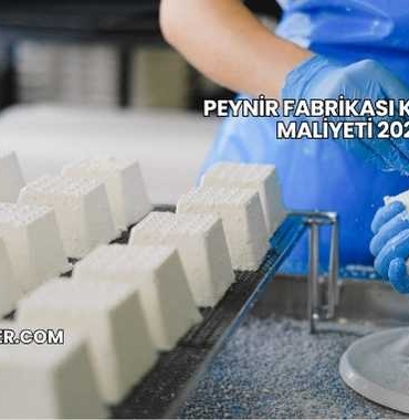 Peynir Fabrikası Kurulum Maliyeti 2025