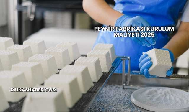 Peynir Fabrikası Kurulum Maliyeti 2025