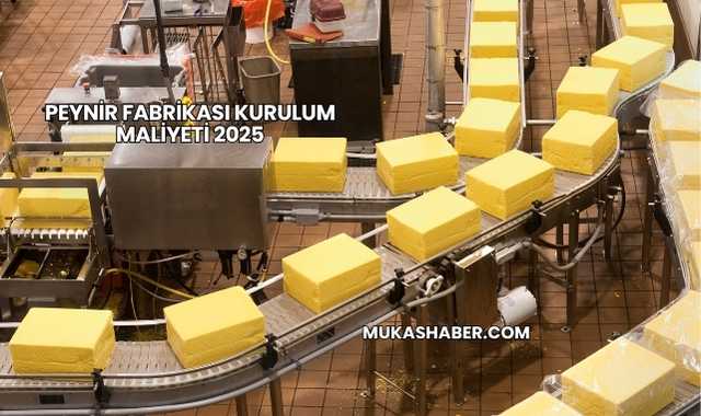 Peynir Fabrikası Kurulum Maliyeti 2025