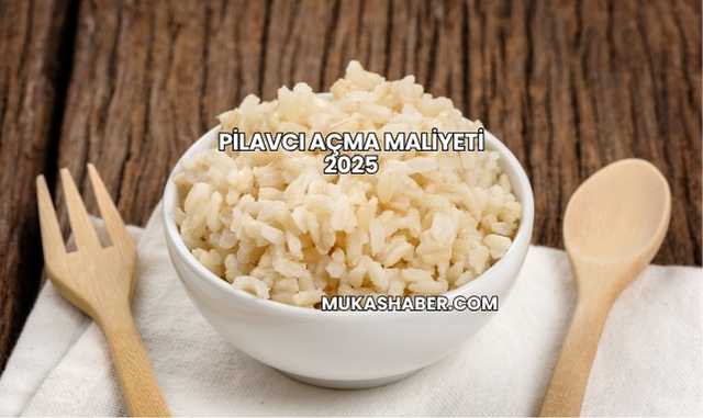 Pilavcı Açma Maliyeti 2025