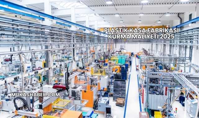 Plastik Kasa Fabrikası Kurma Maliyeti 2025