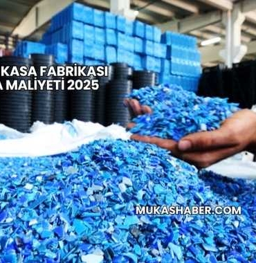 Plastik Kasa Fabrikası Kurma Maliyeti 2025