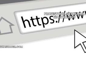 Profesyonel Site Kurma Maliyeti 2025