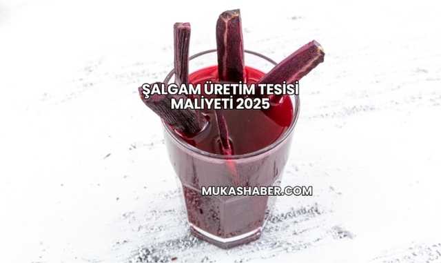Şalgam Üretim Tesisi Maliyeti 2025