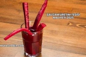 Şalgam Üretim Tesisi Maliyeti 2025
