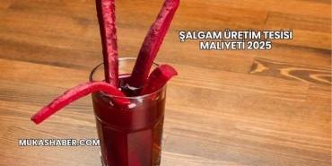 Şalgam Üretim Tesisi Maliyeti 2025