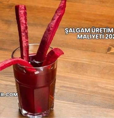 Şalgam Üretim Tesisi Maliyeti 2025