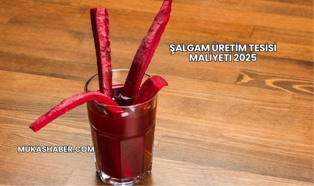 Şalgam Üretim Tesisi Maliyeti 2025