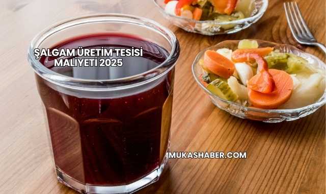 Şalgam Üretim Tesisi Maliyeti 2025
