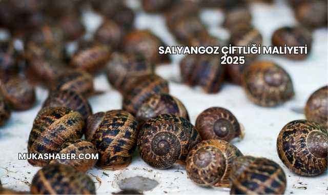 Salyangoz Çiftliği Maliyeti 2025