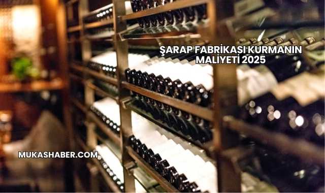 Şarap Fabrikası Kurmanın Maliyeti 2025