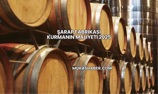Şarap Fabrikası Kurmanın Maliyeti 2025