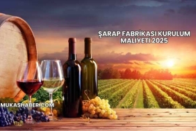 Şarap Fabrikası Kurulum Maliyeti 2025