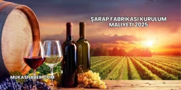 Şarap Fabrikası Kurulum Maliyeti 2025