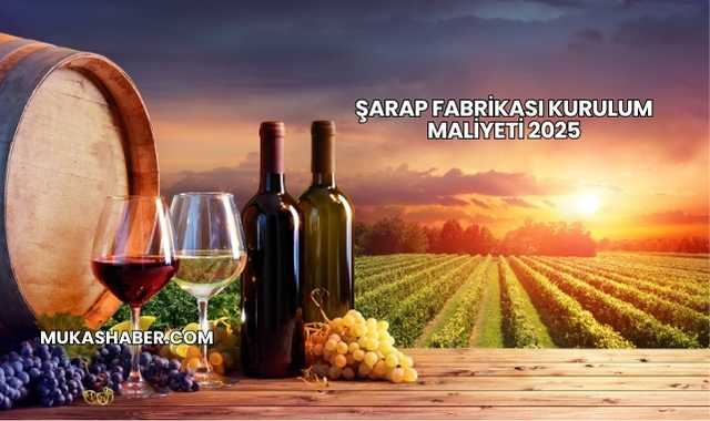 Şarap Fabrikası Kurulum Maliyeti 2025