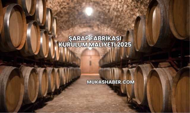 Şarap Fabrikası Kurulum Maliyeti 2025