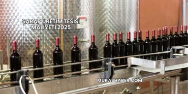 Şarap Üretim Tesisi Maliyeti 2025
