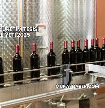 Şarap Üretim Tesisi Maliyeti 2025