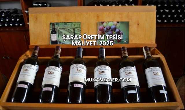 Şarap Üretim Tesisi Maliyeti 2025