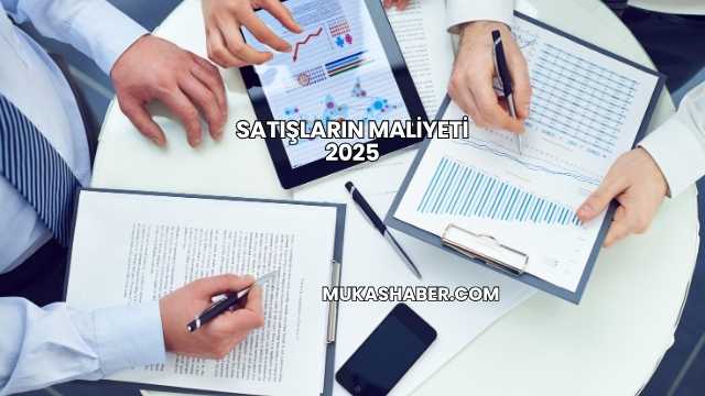 Satışların Maliyeti 2025