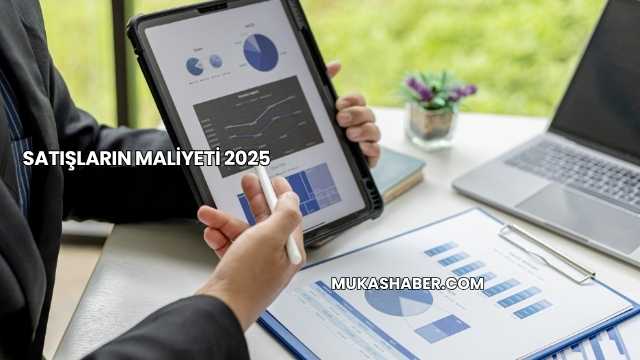 Satışların Maliyeti 2025
