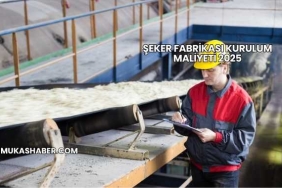 Şeker Fabrikası Kurulum Maliyeti 2025