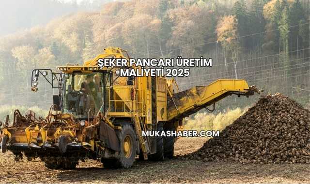Şeker Pancarı Üretim Maliyeti 2025