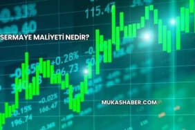 Sermaye Maliyeti Nedir?