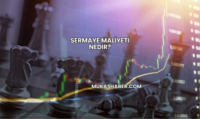Sermaye Maliyeti Nedir?