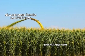 Silajlık Mısır Üretim Maliyeti 2025