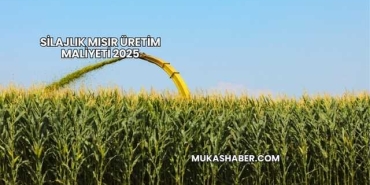 Silajlık Mısır Üretim Maliyeti 2025