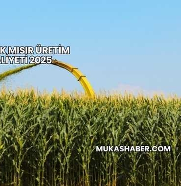 Silajlık Mısır Üretim Maliyeti 2025
