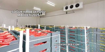Soğuk Hava Deposu Maliyeti 2025