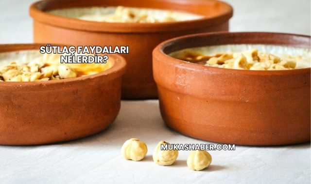 Sütlaç Faydaları Nelerdir?
