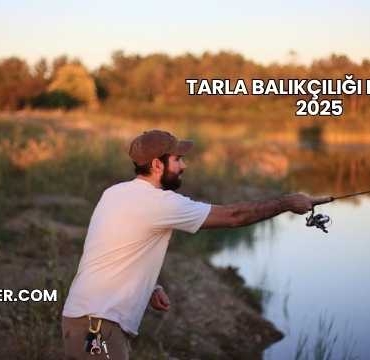 Tarla Balıkçılığı Maliyeti 2025