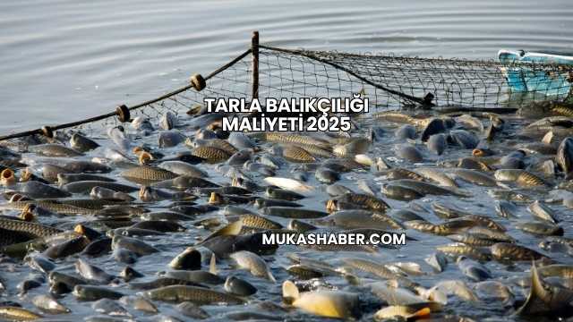 Tarla Balıkçılığı Maliyeti 2025