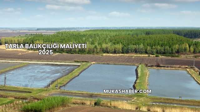 Tarla Balıkçılığı Maliyeti 2025