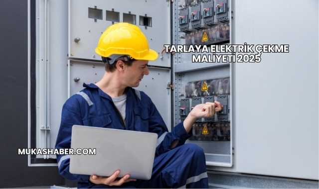 Tarlaya Elektrik Çekme Maliyeti 2025