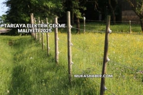 Tarlaya Elektrik Çekme Maliyeti 2025