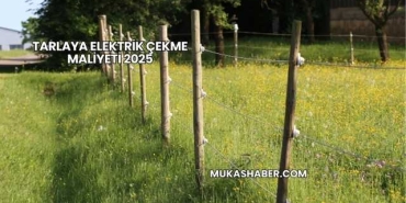 Tarlaya Elektrik Çekme Maliyeti 2025