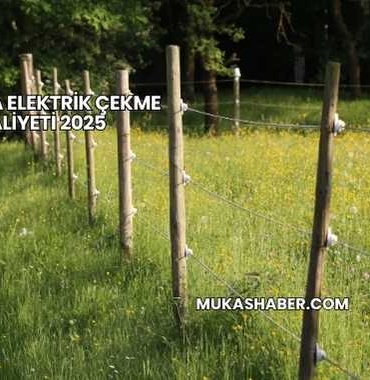 Tarlaya Elektrik Çekme Maliyeti 2025