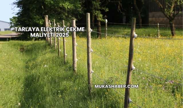 Tarlaya Elektrik Çekme Maliyeti 2025