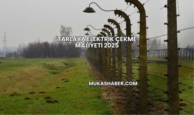 Tarlaya Elektrik Çekme Maliyeti 2025