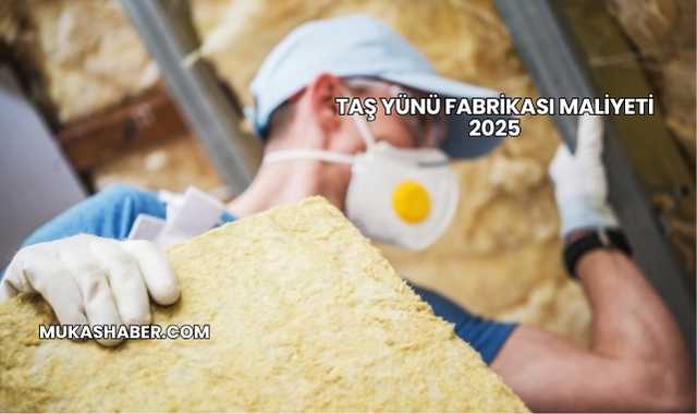 Taş Yünü Fabrikası Maliyeti 2025